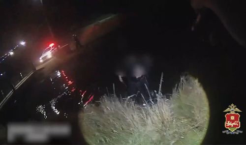 Скриншот кадра видео МВД по Хакасии